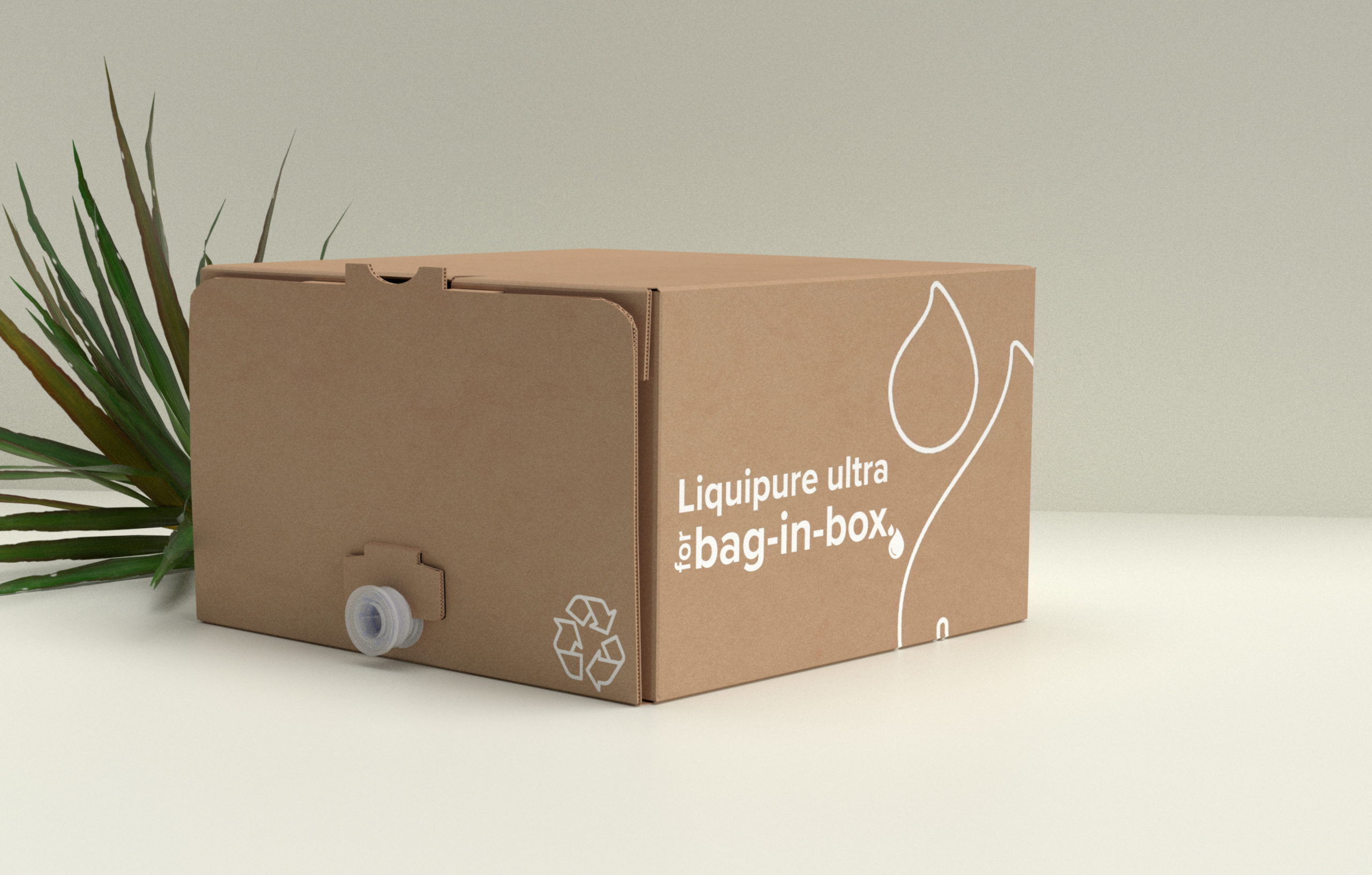 Lv Box And Paper Bag  Natural Resource Department